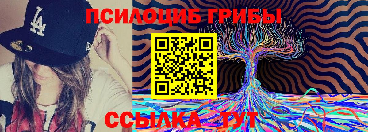 Псилоцибиновые грибы Psilocybe Луховицы