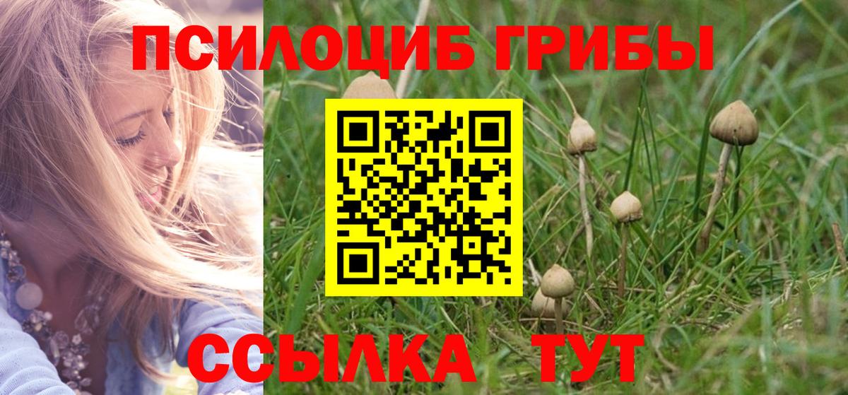 Галлюциногенные грибы GOLDEN TEACHER  Вход с VPN  Луховицы  купить наркотики цена  Галлюциногенные грибы Cubensis 